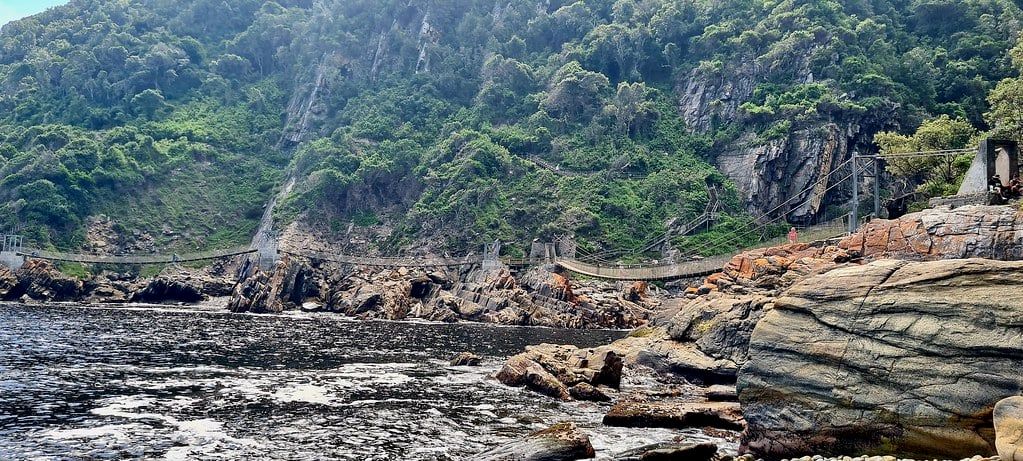 Suspension footbridges cross the mouth of Storms River beneath steep forested cliffs along the Garden Route.