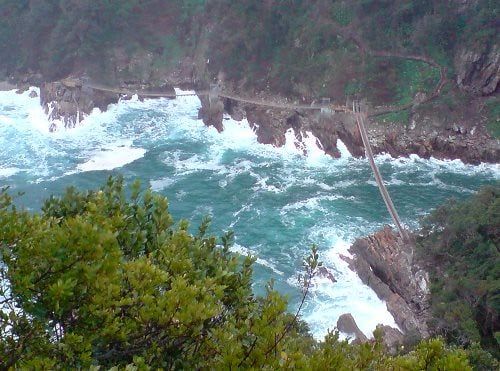 Hänge-Fußgängerbrücken überspannen die felsige Küstenschlucht über turbulentem Meerwasser am Storms River Mouth entlang der Garden Route.