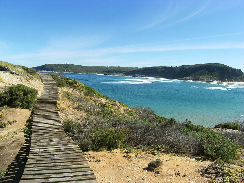 Ein Holzbohlenweg schlängelt sich durch Küstenvegetation mit Blick aufs Meer im Robberg Nature Reserve an der Garden Route.