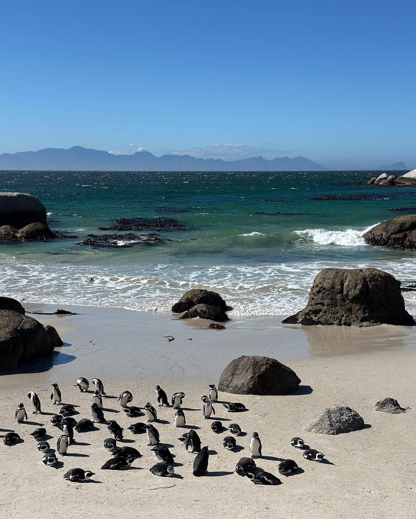 Garden Route view